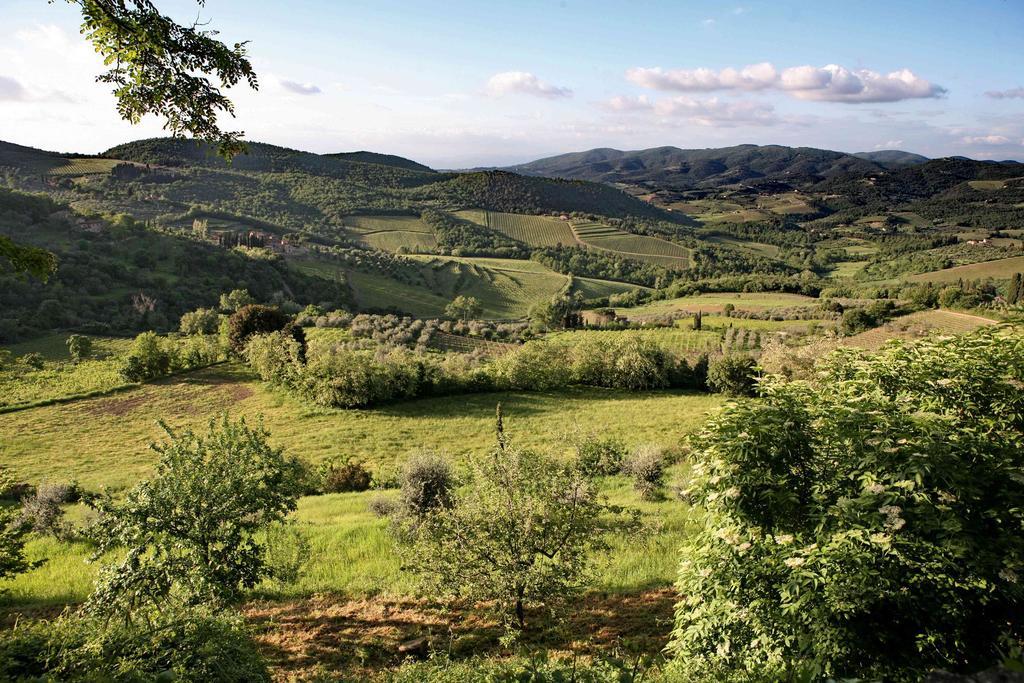 Residenza Antico Chianti Panzano in Chianti